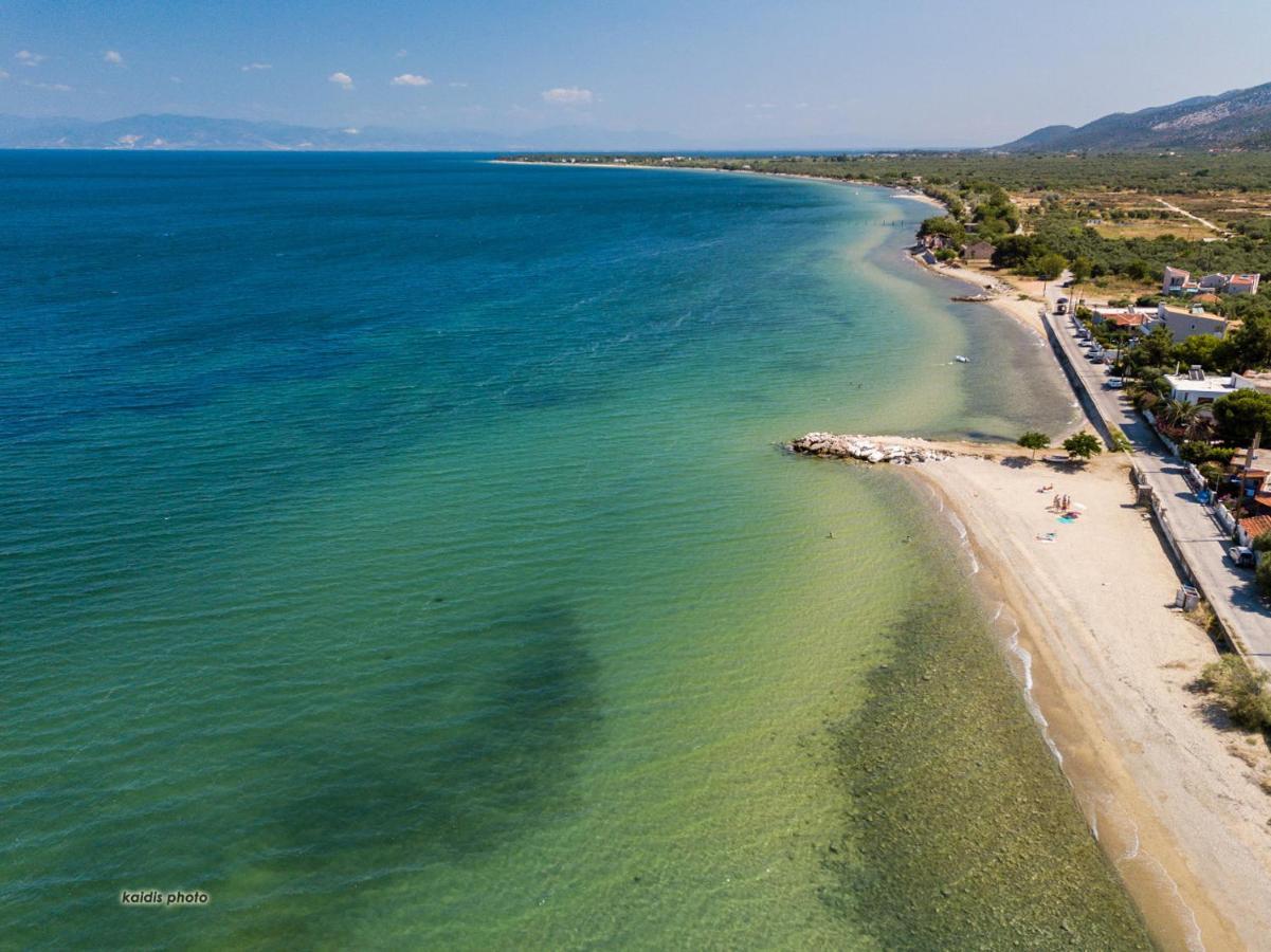 Villa 4 You Iliopetra Скала Сотирос Екстериор снимка