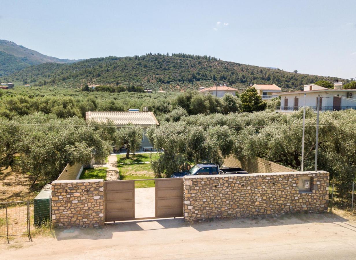Villa 4 You Iliopetra Скала Сотирос Екстериор снимка